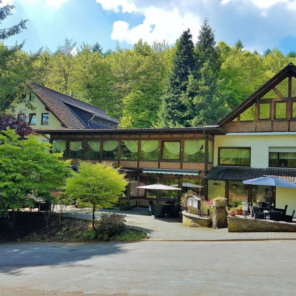 瓦尔德之家席耶格土地酒店(Siegerland-Hotel)图片