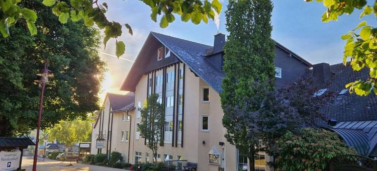 Landhotel Henkenhof Willingen图片