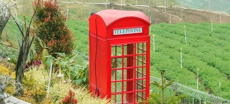 Dlawu Mountain Cottage图片