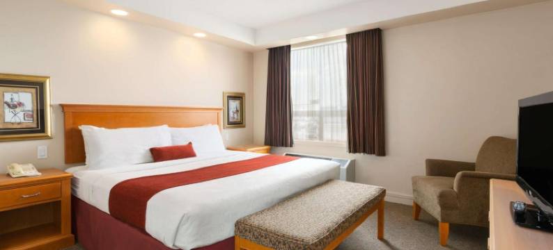 斯普鲁斯格罗夫Travelodge by Wyndham酒店(Travelodge by Wyndham Spruce Grove)图片