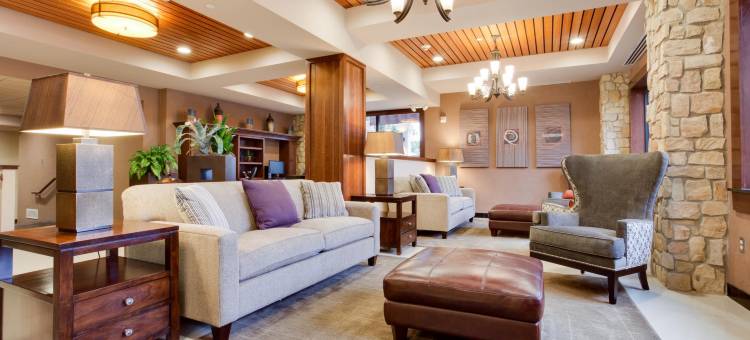 圣安东尼奥机场德鲁里广场酒店(Drury Plaza Hotel San Antonio Airport)图片