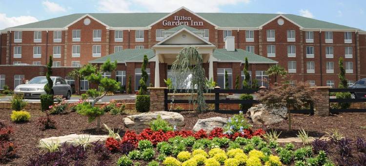 希尔顿花园酒店-亚特兰大南-麦克多诺(Hilton Garden Inn Atlanta South-McDonough)图片