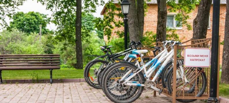 阿尔图恩庄园巴尔斯基菲吉尔酒店(The Manor Wing)图片