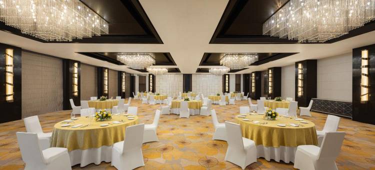 比拉斯布尔万怡酒店(Courtyard Bilaspur)图片