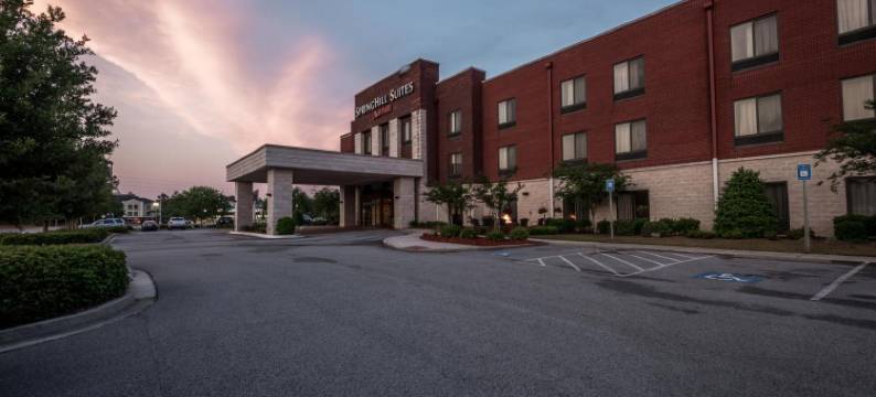 斯泰茨伯勒大学区SpringHill Suites酒店(SpringHill Suites Statesboro University Area)图片