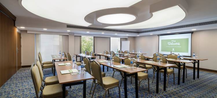 伊斯坦布尔老城假日酒店(Holiday Inn ISTANBUL - OLD CITY by IHG)图片