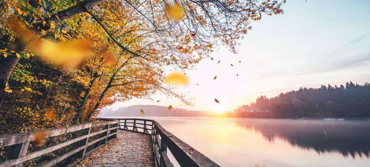 Holiday Inn Express 吹岩南(Holiday Inn Express Blowing Rock South)图片