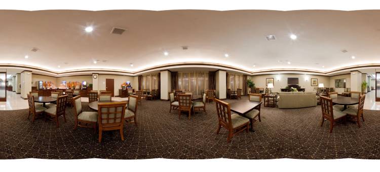 智选假日套房酒店塞金(Holiday Inn Express & Suites Seguin)图片