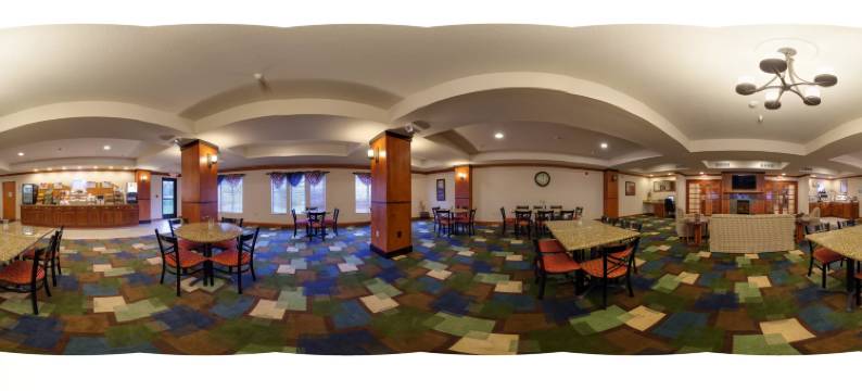 智选假日套房酒店东兰辛(Holiday Inn Express & Suites EAST LANSING by IHG)图片
