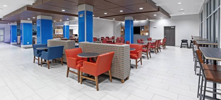 丹顿桑格智选假日套房酒店(Holiday Inn Express & Suites Denton - Sanger)图片