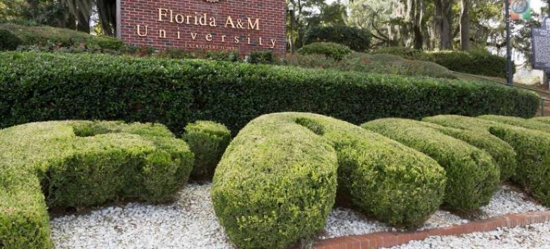 麦迪逊温德姆速8酒店(Super 8 by Wyndham Madison)图片