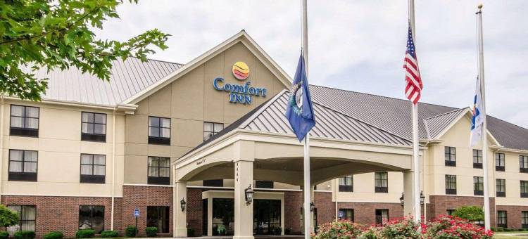 舒适酒店(Comfort Inn)图片