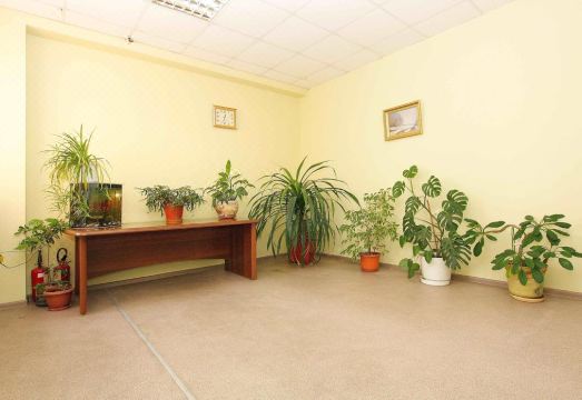 Mirazh Mini-Hotel Hotel Overview