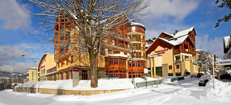 克雷尼察美居水疗度假酒店(Hotel Mercure Krynica Zdrój Resort&Spa)图片