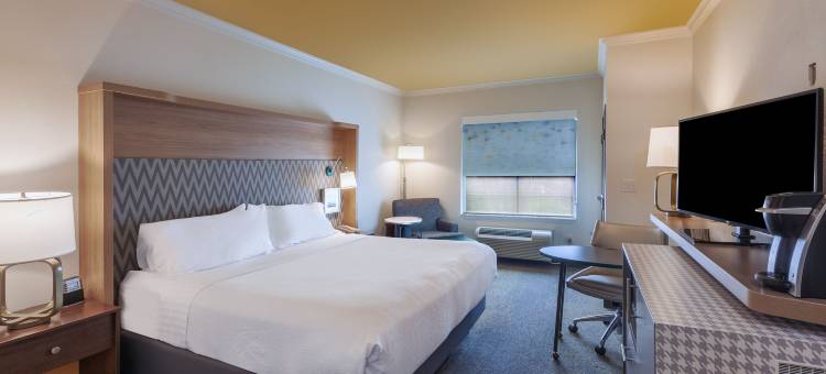 Holiday Inn & Suites 麦金尼的黄金国(Holiday Inn & Suites Mckinney - N Allen)图片