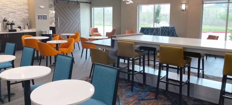 萨尔弗温德姆拉昆塔套房酒店(La Quinta Inn & Suites by Wyndham Sulphur (Lake Charles))图片