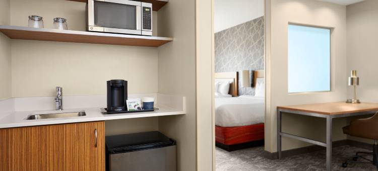 布伦特伍德圣路易斯SpringHill Suites 酒店(SpringHill Suites St. Louis Brentwood)图片