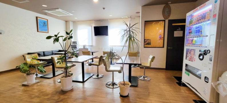 棕榈天文馆酒店(Hotel Palms Tenmonkan)图片