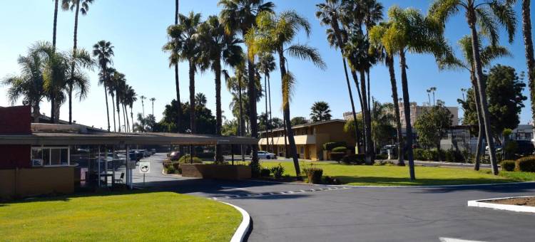 丘拉维斯塔帕尔梅拉斯酒店(Hotel Palmeras Chula Vista)图片