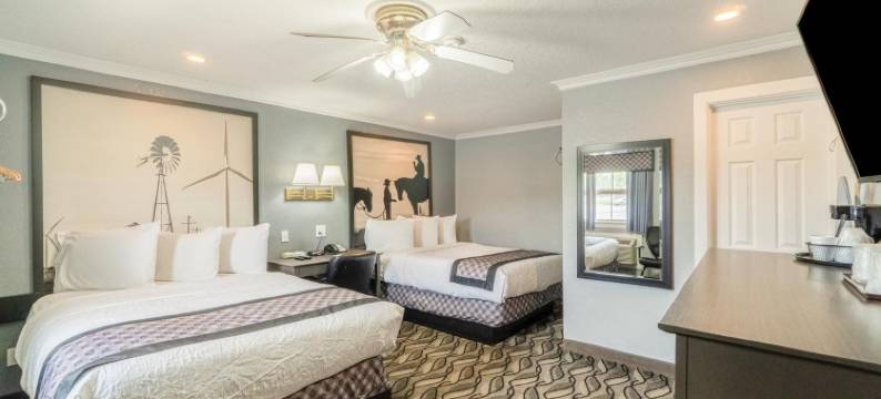 OYO Snyder TX 紫色鼠尾草(Purple Sage by OYO Snyder TX)图片