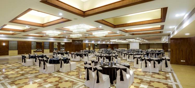 艾哈迈达巴德傲世广场酒店(Pride Plaza Hotel, Ahmedabad)图片