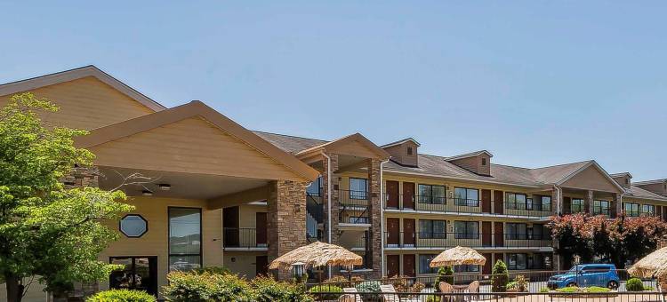 芒特弗农舒适酒店(Comfort Inn)图片