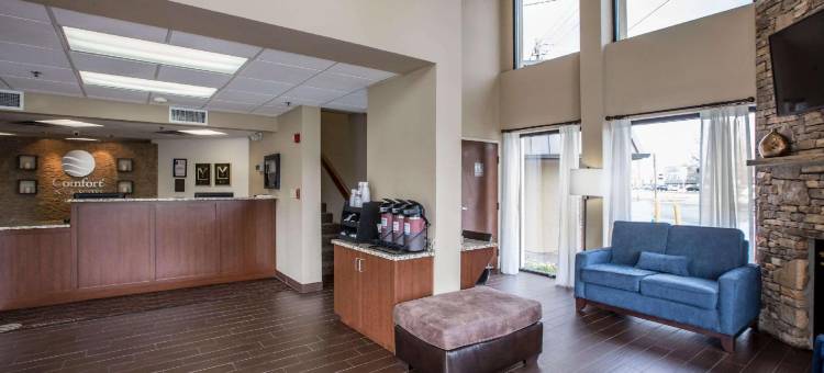 多利伍德街舒适酒店(Comfort Inn & Suites at Dollywood Lane)图片