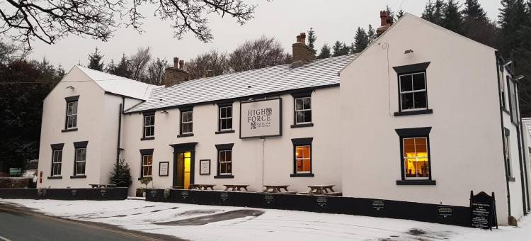 高力酒店(High Force Hotel)图片