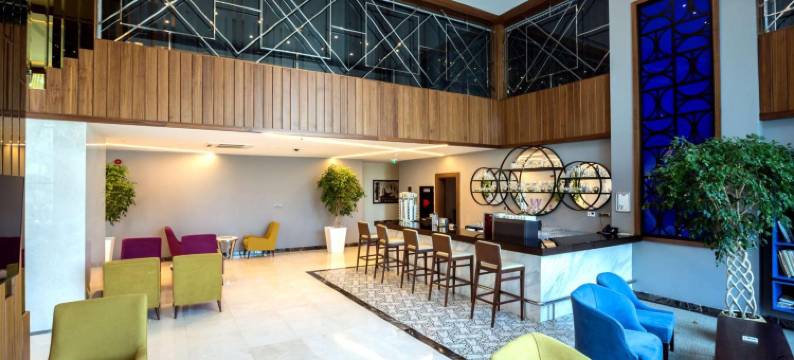 迪亚巴克尔丽笙蓝标酒店(Radisson Blu Hotel Diyarbakir, Turkey)图片