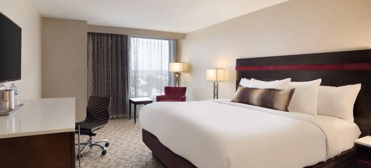 芝加哥-绍姆堡假日酒店(Holiday Inn Chicago - Schaumburg)图片