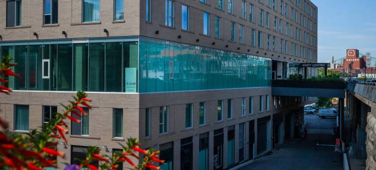 蒙特利尔凯悦尚萃酒店(Hyatt Centric Montreal)图片