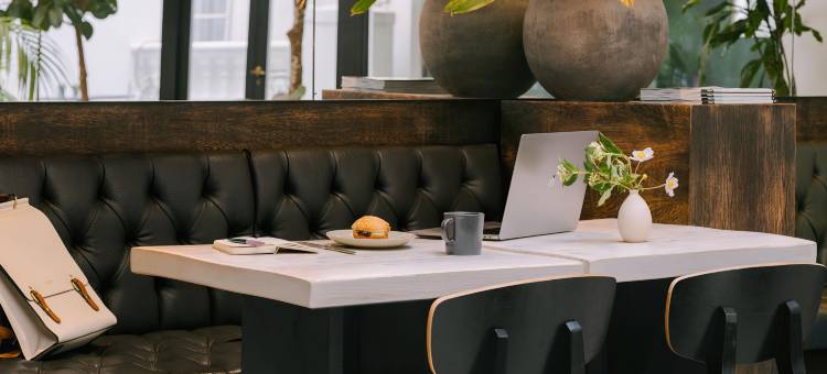 松德尔切尔西绿色(Sonder Chelsea Green)图片