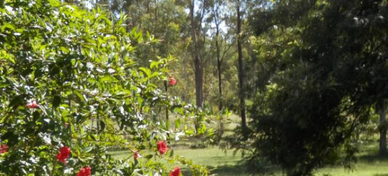 Wondai Hideaway Apartment图片