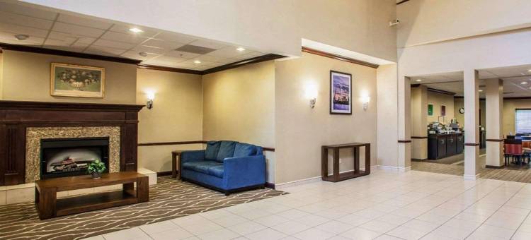 圣路易斯奥法伦舒适套房酒店(Comfort Inn & Suites St Louis-O'Fallon)图片
