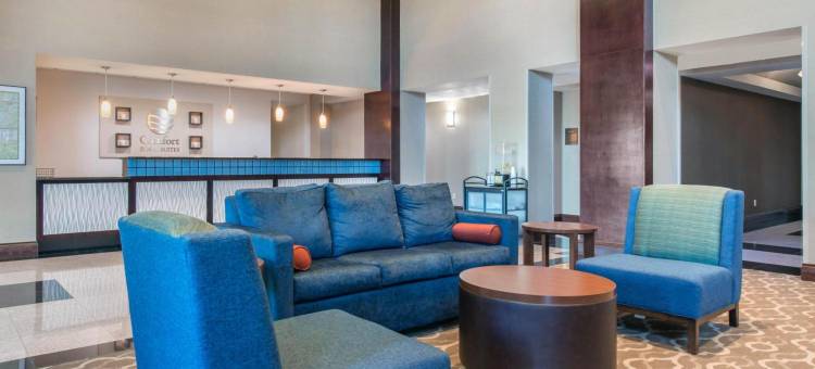 塔瓦雷斯北舒适套房酒店(Comfort Inn & Suites Tavares North)图片