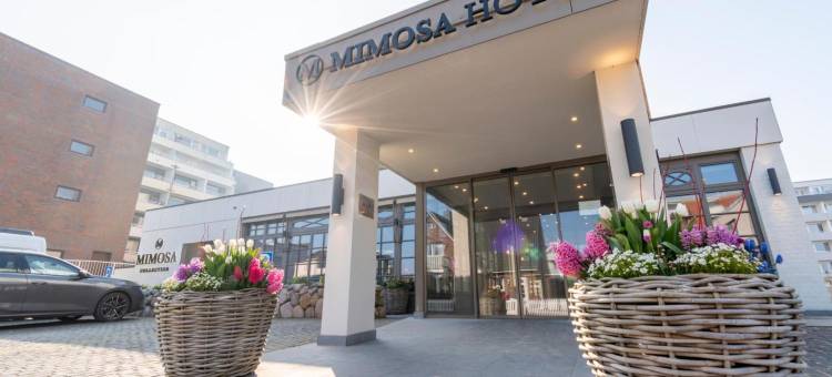 Mimosa酒店(Mimosa Hotel)图片