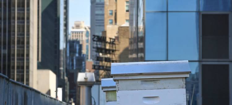 纽约时代广场洲际酒店(InterContinental New York Times Square)图片