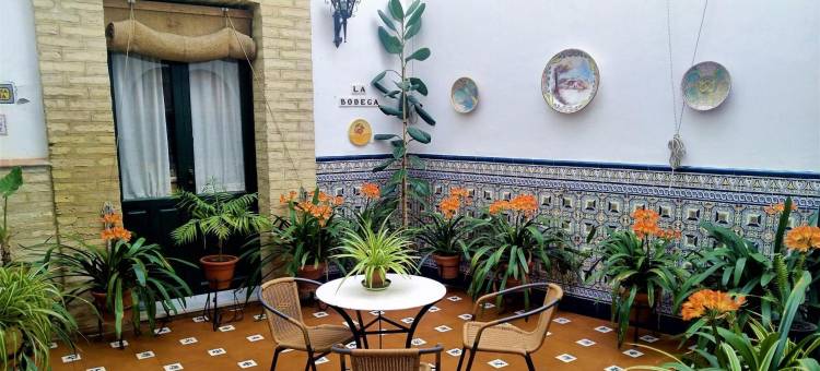 贝利多旅馆(Hostal Bellido)图片