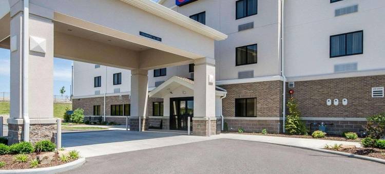 舒适酒店(Comfort Inn)图片