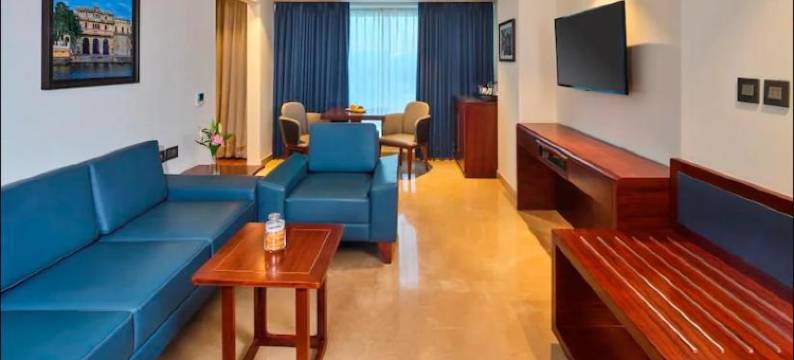 乌代布尔骄傲酒店(Pride Hotel Udaipur)图片