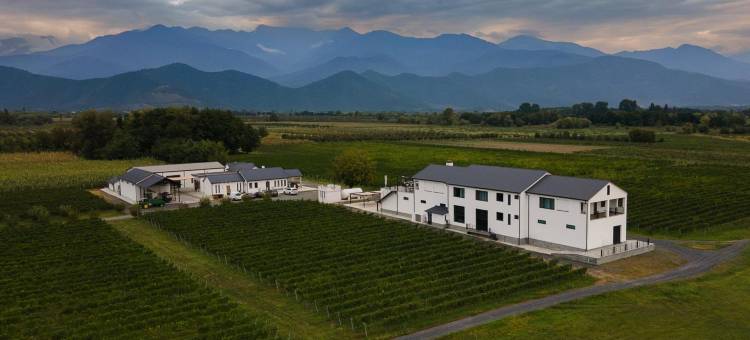 日食酒庄精品酒店(Eclipse Winery Boutique Hotel)图片