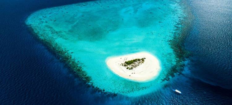 马尔代夫科杜度假村美居酒店(仅限成人)(Mercure Maldives Kooddoo Adults Only Resort)图片