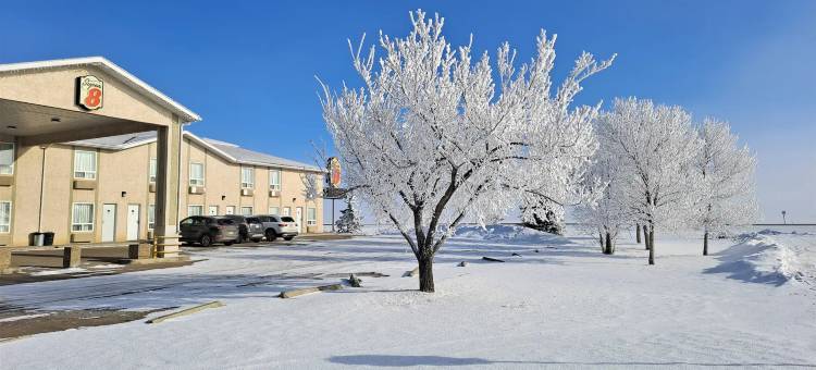 三山温德姆速8酒店(Super 8 by Wyndham Three Hills AB)图片