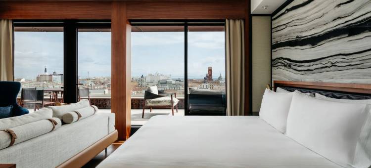 马德里桐森酒店，凯悦旗下(Thompson Madrid, Part of Hyatt)图片