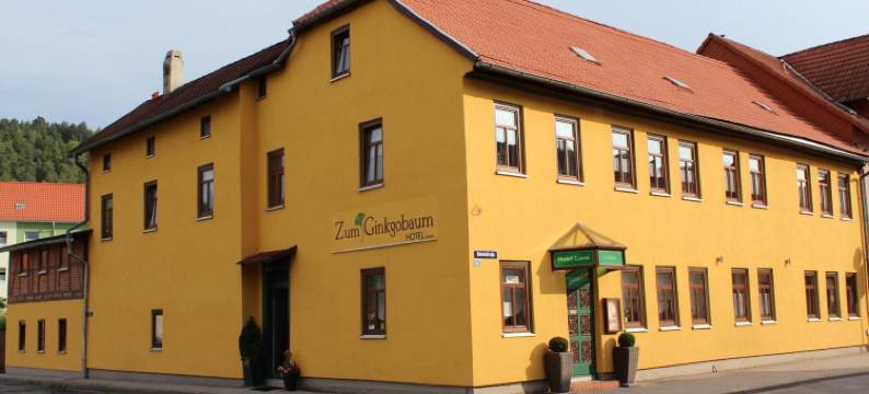 苏姆季妮科格布姆酒店(Zum Ginkgobaum)图片