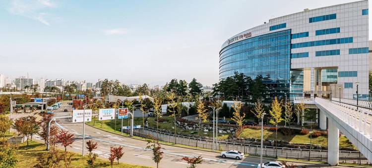 金浦机场乐天城市酒店(LOTTE CITY HOTEL GIMPO AIRPORT)图片