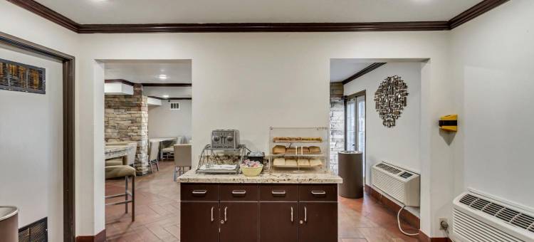 盐湖城-米德维勒丽柏酒店-丽笙旗下(Park Inn by Radisson, Salt Lake City-Midvale)图片