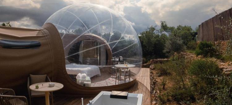 卡利格之夜(Noches de Calig)图片