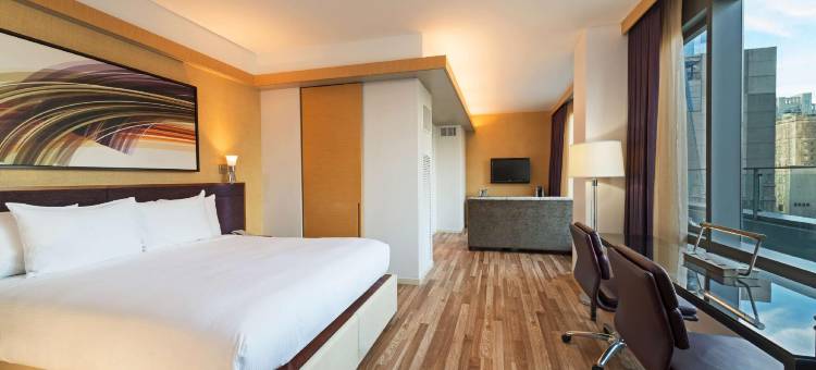 纽约西第57街希尔顿俱乐部酒店(Hilton Club West 57th Street New York)图片