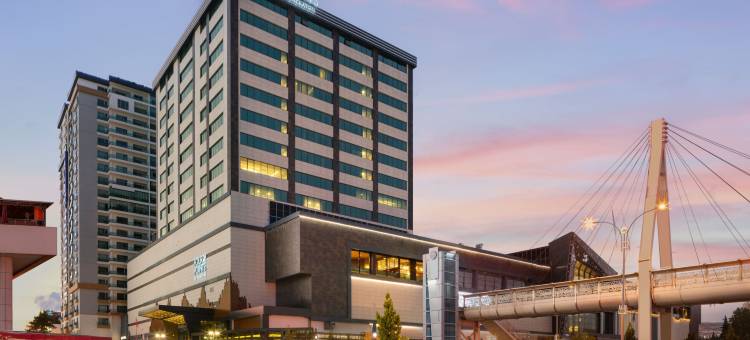 福朋喜来登酒店埃拉齐格(Four Points by Sheraton Elazig)图片